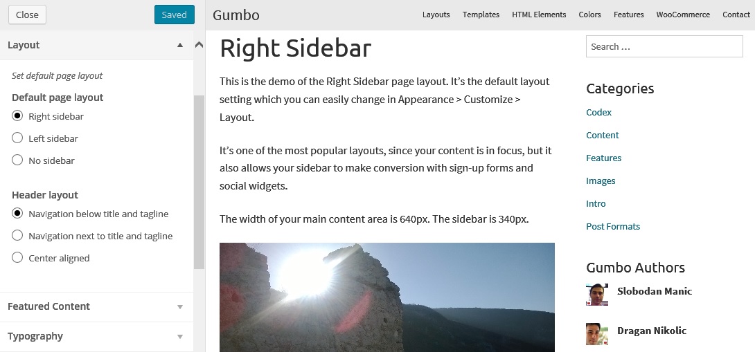 right-sidebar-customizer